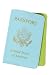 Baekgaard Leather Passport Case - Carribean Blue / Apple