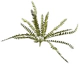 20 Christmas Brites Green Glittered Fern Bush Spray