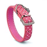 Hunde Halsband