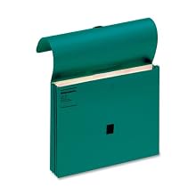 Wilson Jones ColorLife File Wallets with Velcro Grippers, 3.5 Inch Expansion, 9.5 x 11.75 Inches, Green, 10 Wallets Per Box (WCC719-4G)