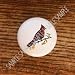 Birds Cardinal #1 Bird Drawer Pulls Knobs