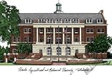 Florida A&M University Lithograph 14x10 Unframed Lithograph