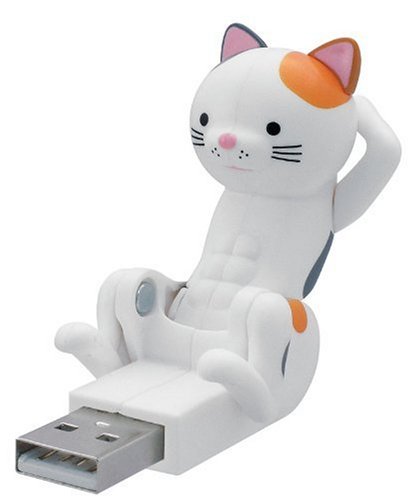 腹筋にゃんこ(ミケ)
