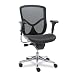 Alera&reg; EQ Series Ergonomic Multifunction Mid-Back Mesh Chair, Aluminum