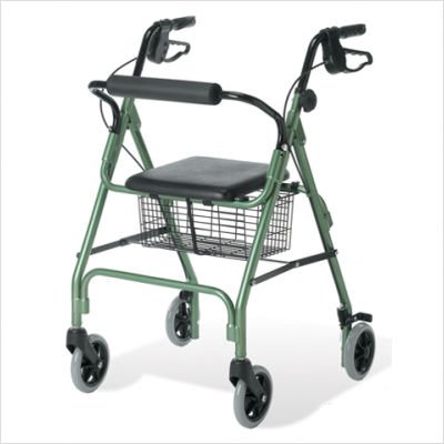 Guardian Envoy 460 Economy Rolling Walker - Color Blue