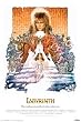 LABYRINTH David Bowie 24X36 MOVIE POSTER Framed