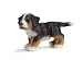 Schleich Bernese Mountain Dog Puppy