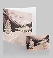 Special Effects 3D Snow Scene Gift Card