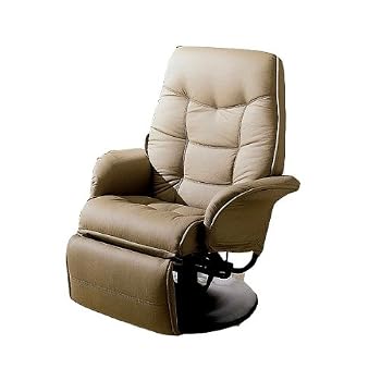 Set A Shopping Price Drop Alert For Modern Style Taught Pulled Bone Leatherette Fabric Cushion Swivel Recliner with Tilt Back Function
