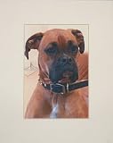 Digital Art Watercolor Portrait - Turn Your Pet's Photo into an 8 x 10 Portrait (Matted 11 x 14 Ready for Framing)