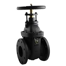 Apollo 610F Series Cast Iron Gate Valve, Class 125, Non-Rising Stem, Flanged