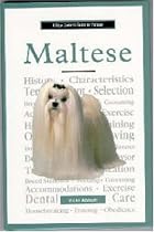 A New Owner's Guide to Maltese