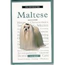 A New Owner's Guide to Maltese