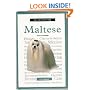 A New Owner's Guide to Maltese