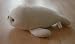 41KogVhO%2BgL. SL75  Sea World 19 Shamu Killer Whale Plush