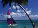Man Sailing Boat, Wakaya Island, Eastern Division, Fiji Photographic Poster Print by John Borthwick, 24x18