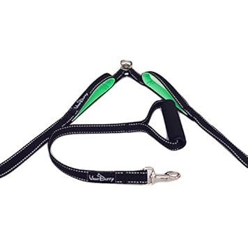 Vaun duffy double dog leash Clearance