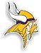 Minnesota Vikings 12