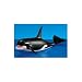 Playmobil Orca Whale