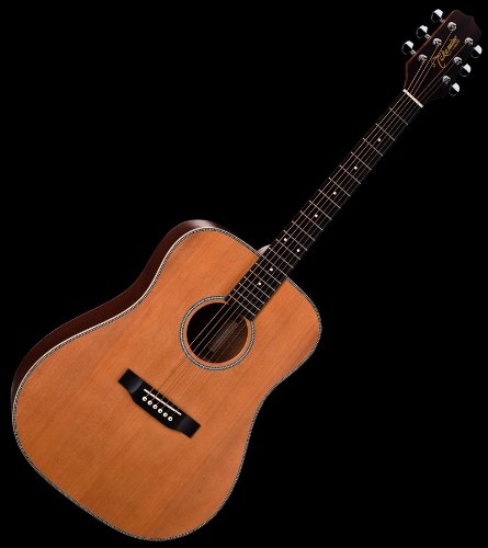NEW TAKAMINE G SERIES ACOUSTIC GUITAR