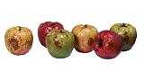 Farmhouse Chic Apples, Set of 6