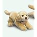 Yomiko Yellow Lab Small