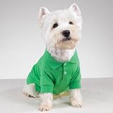 Preppy Puppy Dog Polo Shirt in Hampton Green at THE REGAL DOG - Size XS