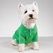 Preppy Puppy Dog Polo Shirt in Hampton Green at THE REGAL DOG - Size XS