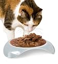 Smartcat Elevated Shallow Food Dish 3 oz Wet Food Bowl Natural