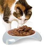 Smartcat Elevated Shallow Food Dish 3 oz Wet Food Bowl Natural