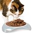 Smartcat Elevated Shallow Food Dish 5 oz Wet Food Bowl Natural