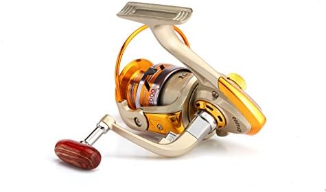 Batshop Fashion Outlet 10BB Ball Bearing 5.5:1 Saltwater/ Freshwater Fishing Spinning Reel (EF2000)