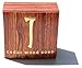 Kalastyle Cedar Wood Soap, 5.8 oz