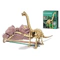 Dam - 4M - 5603237 - Construction et Maquette - Animaux - Kidzlabs - deterre-Ton-Dinosaure - Brachiosaurus