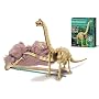 Kids Labs-Dig A Skeleton-Brachiosaurus