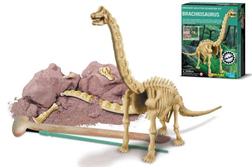 Dam - 4M - 5603237 - Construction et Maquette - Animaux - Kidzlabs - deterre-Ton-Dinosaure - Brachiosaurus
