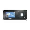 1GB SanDisk Sansa c240 DAP