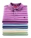 Izod Riviera Stripe Polo Shirt