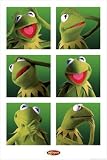 Kermit The Frog Poster ~ Muppets ~ Exclusive U.K. Import ~ 24x36
