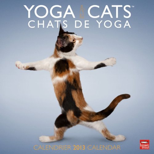 Yoga Cats/Chats De Yoga 2013 Calendar
