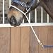 Shires Kemp Controller Headcoller