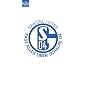 Fast alles über Schalke 04