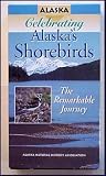 Celebrating Alaska Shorebirds