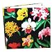 Orchid Orchids Album Photos and Picture Fits 4 x 6 Gift Idea or For Graduation, Baby Shower, Wedding HIGH QUALITY,