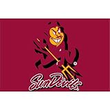 Northwest Arizona State Sun Devils Tufted 20x30 Rug