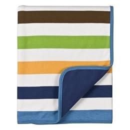DwellStudio™ for Target® Infant Boys' Striped Blanket : Target