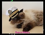 Commanding Officer naval hat for small dogs and cats