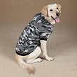 Image of Casual Canine Black