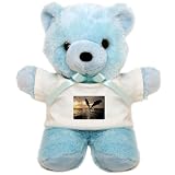Teddy Bear Blue Dolphins Flying in Sunset