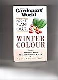 Winter colour